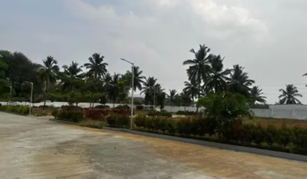 The Phase 1 plot mix at Nambiar Beverly Green