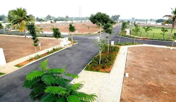 Price of Land in Bannerghatta Road Bangalore Featured Image of Price of Land in Bannerghatta Road Bangalore